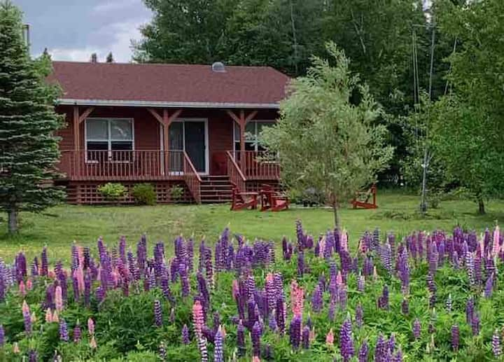 Cozy Cottage on the Pond