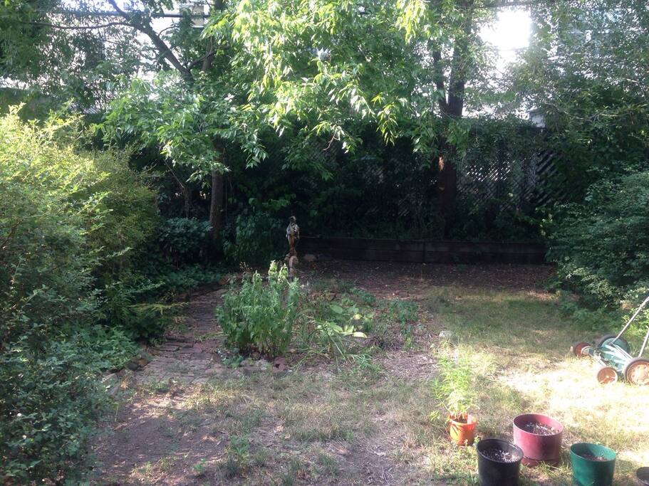 Garden outside the kitchen.