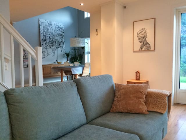 Modern house in Lærdal
