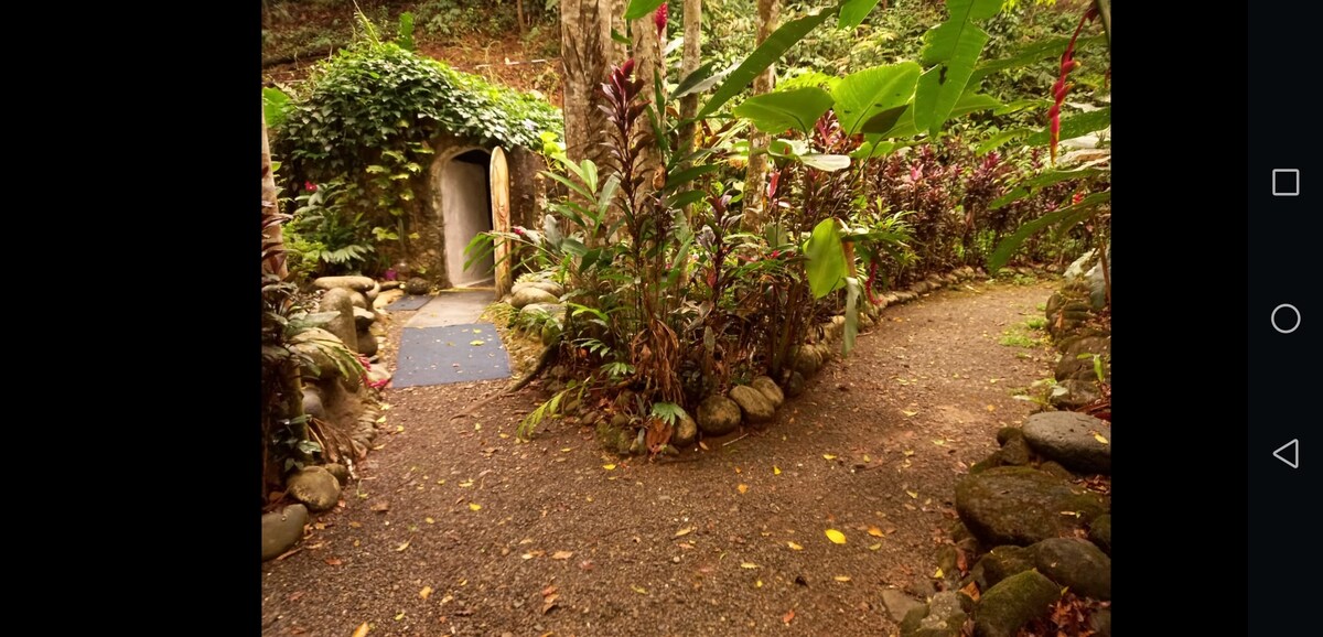 A stone pathway curves between lush greenery, leading to a natural archway. Tropical plants and flowering foliage create a vibrant border along the walkway, while smooth stones are arranged to outline the garden paths. Soft, earthy tones are showcased in the soil and plant life.