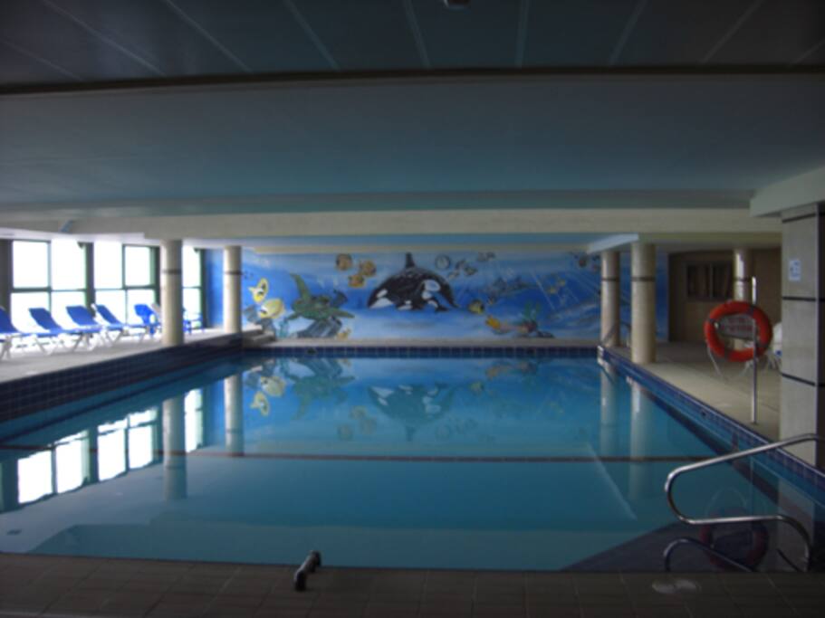 swimming pool (open all the year)