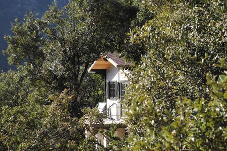 Sorène -Une Cabane en Cévennes