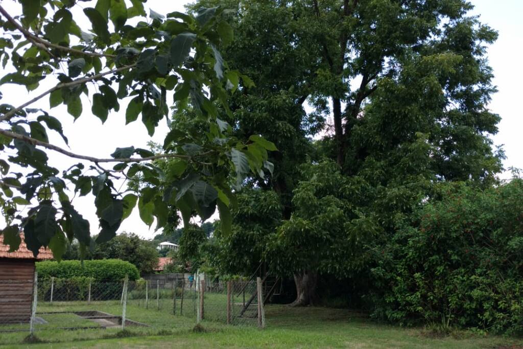Extensão do camping