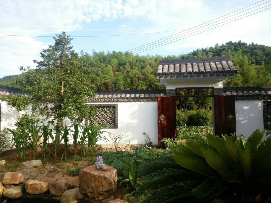 自种瓜果蔬菜可免费享用