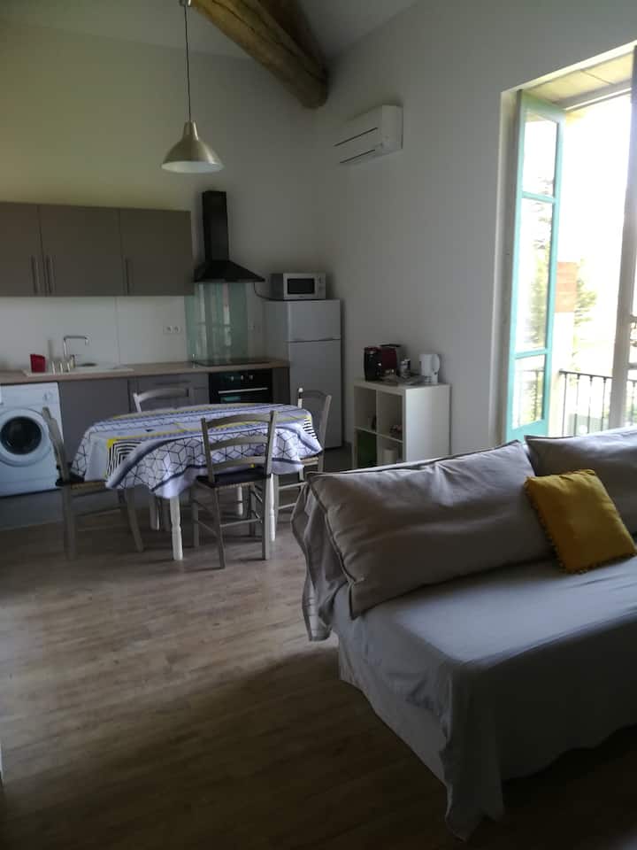 Charmant F2 Dans Mas Proche De Montpellier - Carnon