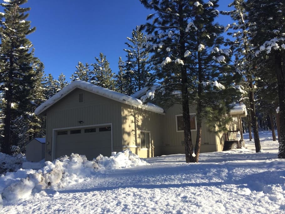 Plenty of snow and in the beautiful pine trees!