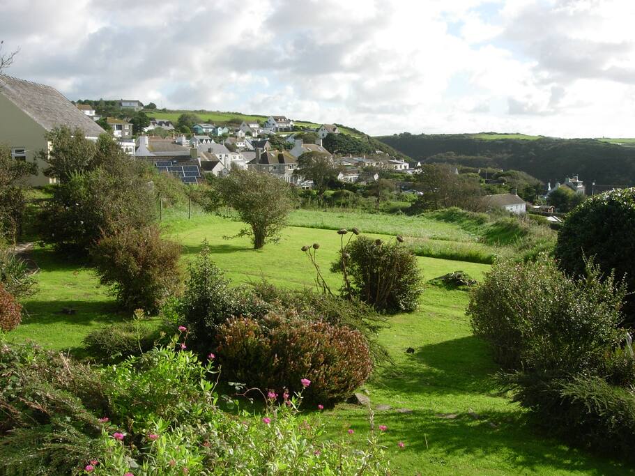Our garden; view from kitchen