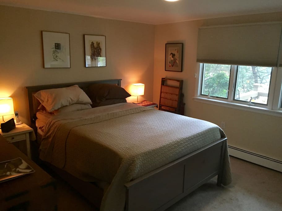Master Bedroom
(Clothes Dresser and Big Closet)