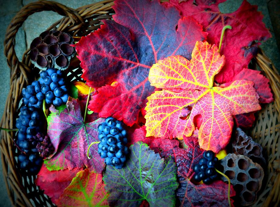 tavolo de ingresso in autunno