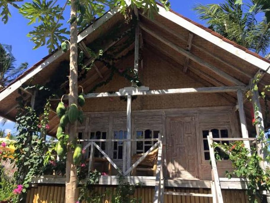 카덴헤드 아드벡 1966 본드 리저브 32년