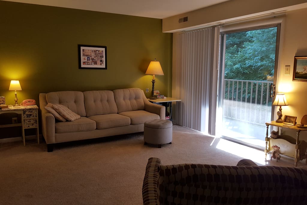 Living room and patio