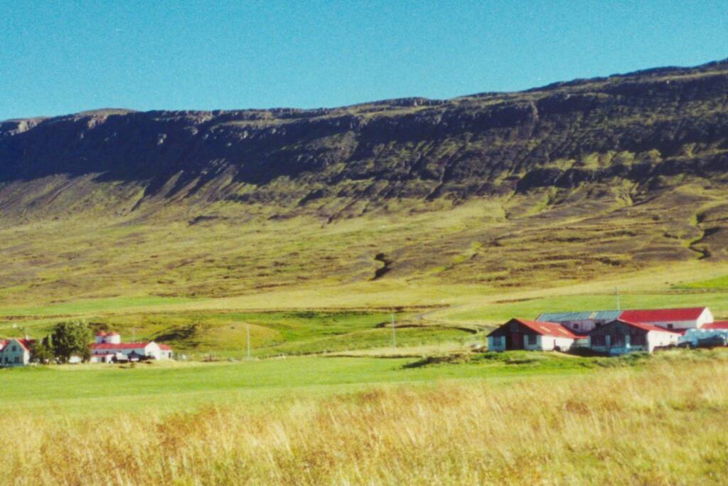 Our place