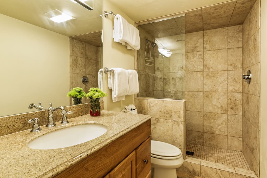 The recently renovated master bath features a luxurious European style shower.
