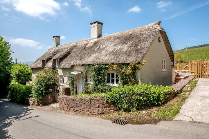 Richards Cottage With Free Hot Tub Houses For Rent In West