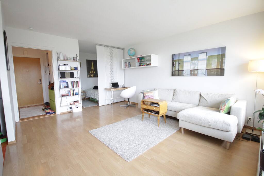 Entrance, living room and alcove
