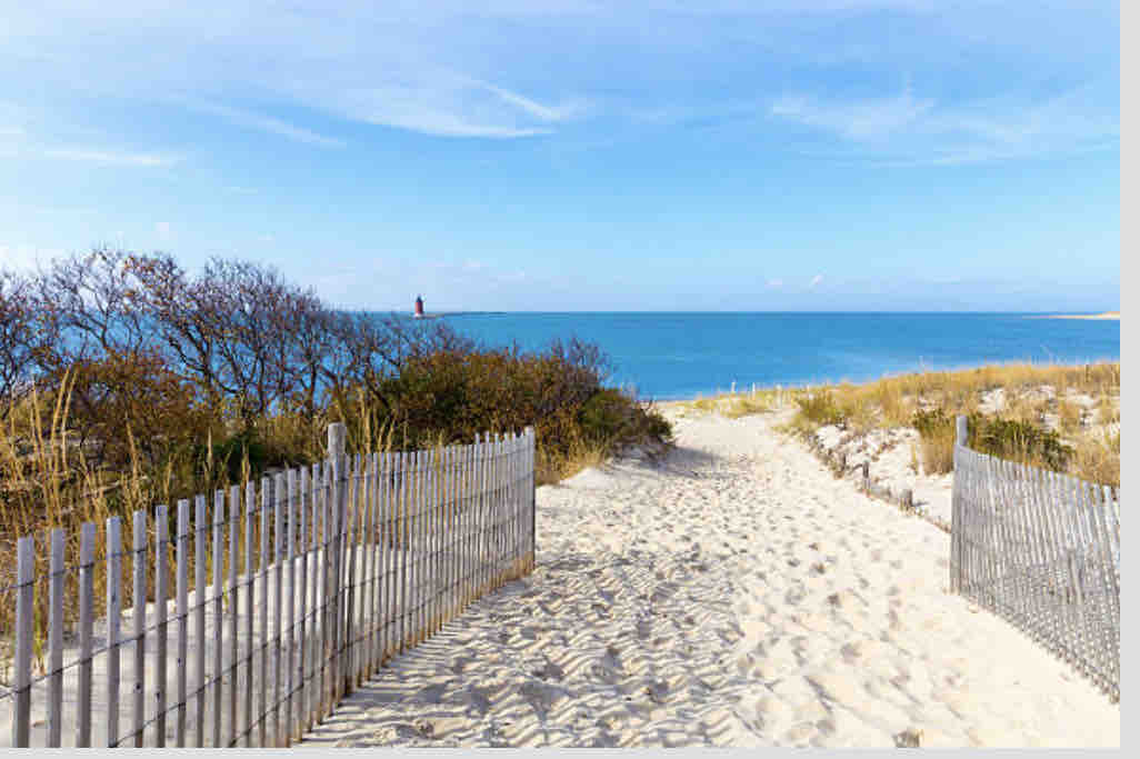 A sandy pathway leads to a serene beach, bordered by wooden fencing on both sides. Tufts of grass and low shrubs are visible along the edges, while the calm blue water of the Gulf stretches towards the horizon under a clear sky.