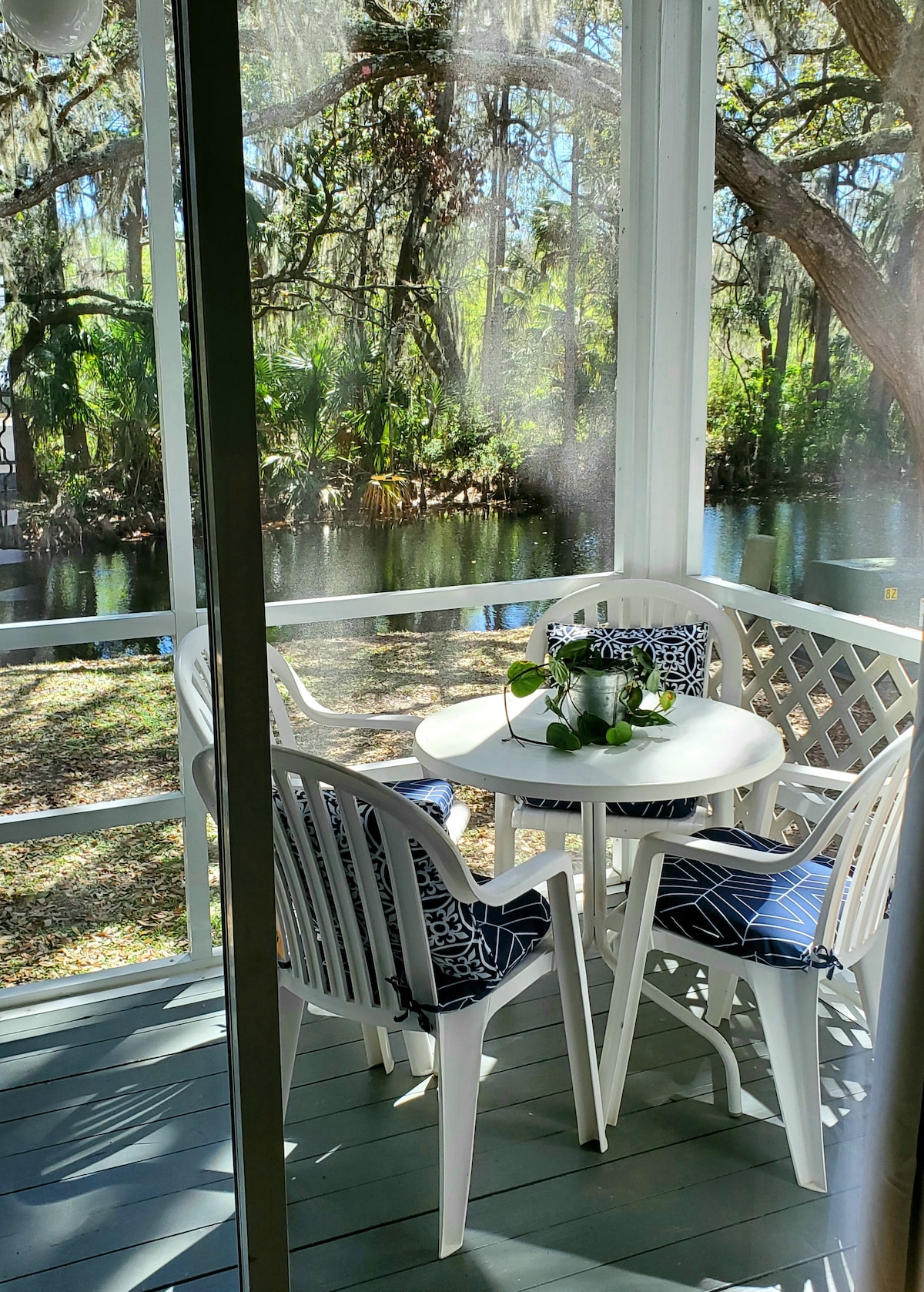A screened porch features a small round table surrounded by four white chairs. Each chair is adorned with patterned cushions. The view presents a serene canal bordered by lush greenery and Spanish moss-draped trees, enhancing the peaceful atmosphere of the outdoor space.