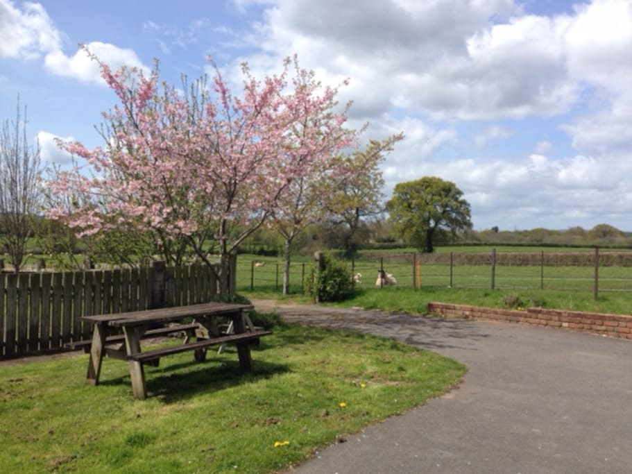 Private garden and parking. Amazing countryside views