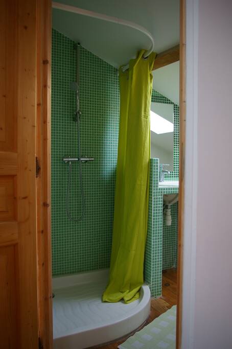 Salle d'eau avec WC, lumière naturelle par un Vélux.