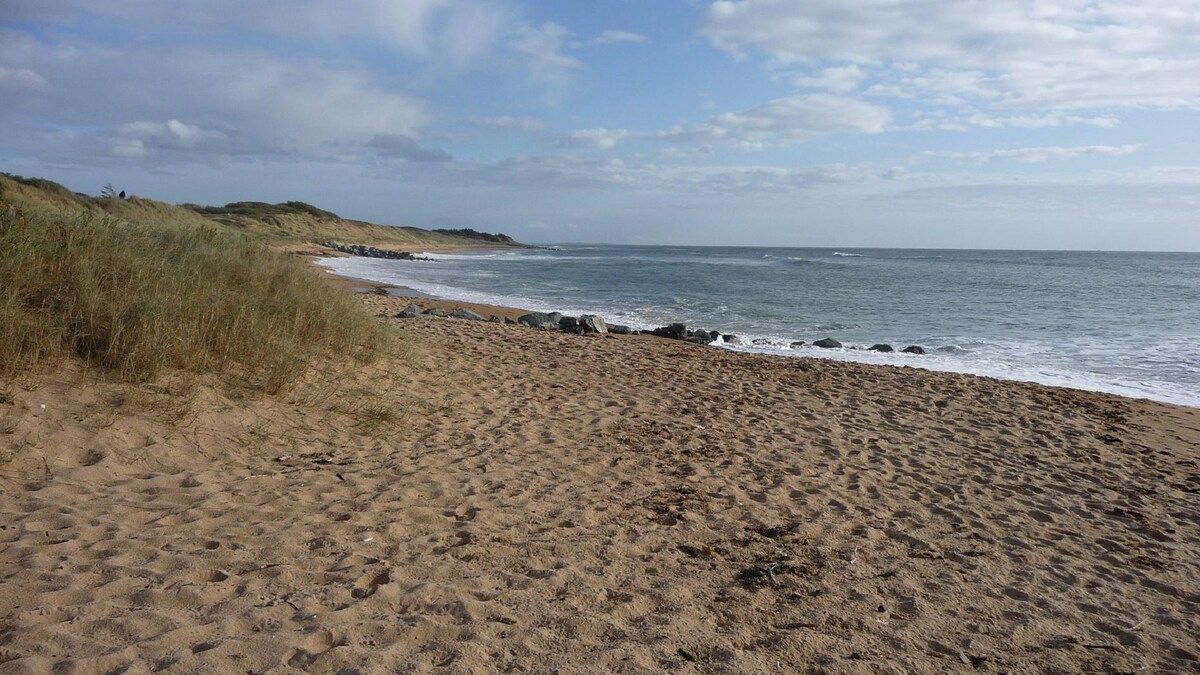 A serene beach landscape features a sandy shoreline bordered by gentle waves. Light brown grasses sway in the foreground, leading to a rocky shore under a partly cloudy sky. The horizon showcases a mix of sandy dunes and calm ocean waters, creating a tranquil coastal scene.