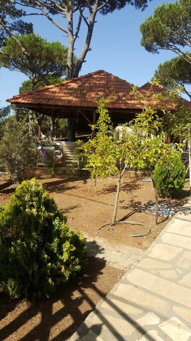 Common pergola area