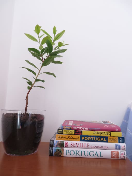 Guidebooks on the bedside table are strategically placed to encourage guests to travel and explore a bit more