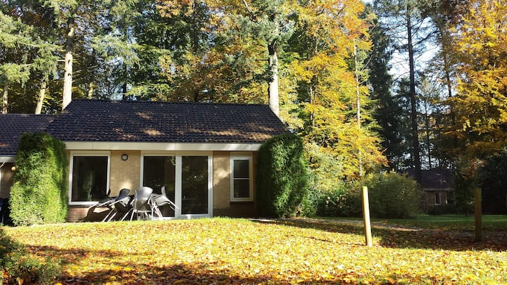 Vakantie Bungalow, 6 Personen,  Veluwe,  Bossen - Harderwijk