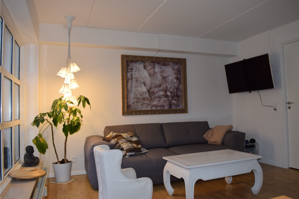living room with 46 inch SMART TV with Netflix and Yogaglo app