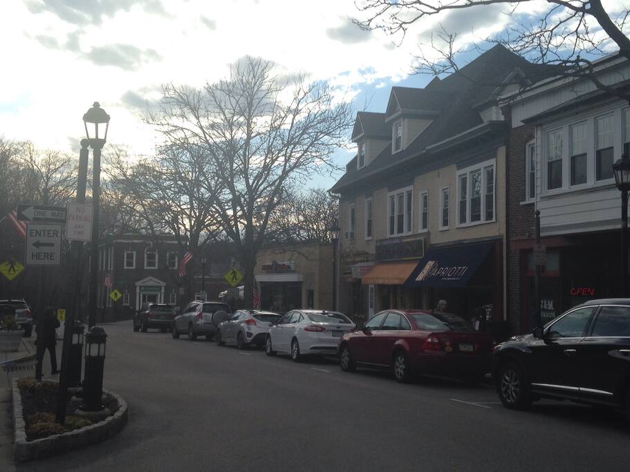 This is the main street in town. The other pictures are different views of the same street. It's about two blocks of main road with more commerce on three side streets running north of it. In all seasons, this little town is bustling! There are two yoga studios, a Pilates studio, a movie house, the police and fire department one block in the other direction, a supermarket, about six restaurants, and two coffee shops, one of them a French patisserie, the other a cheese shop that sells European cheeses and fresh prepared foods, among sundry other treats.