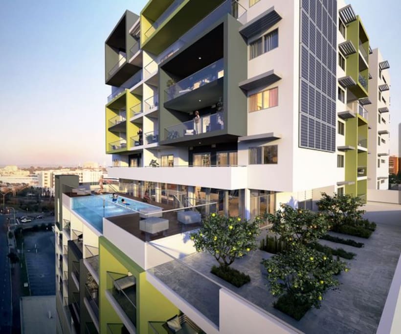 Rooftop Pool and Garden