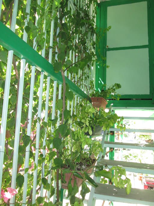 Entrée principale