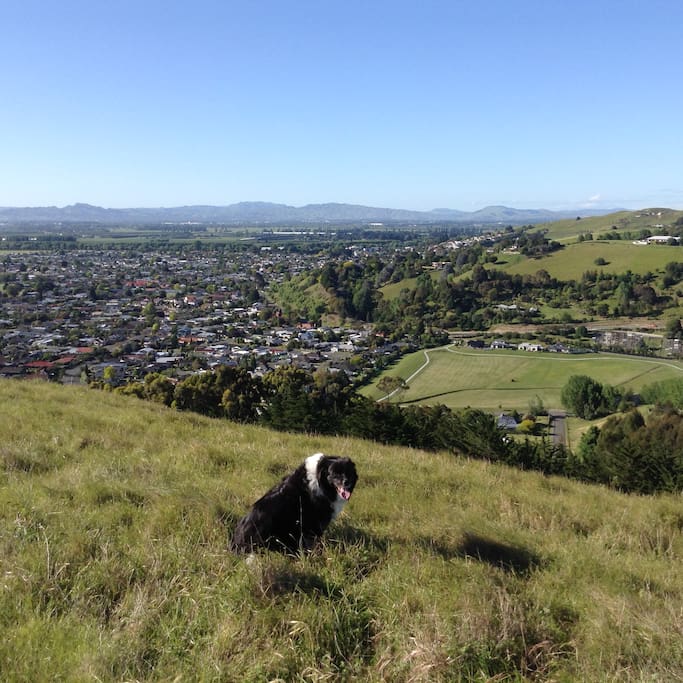 Great places to walk to near our house with great views.
