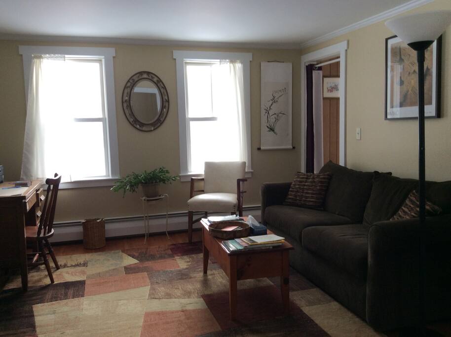 Living room with pullout couch