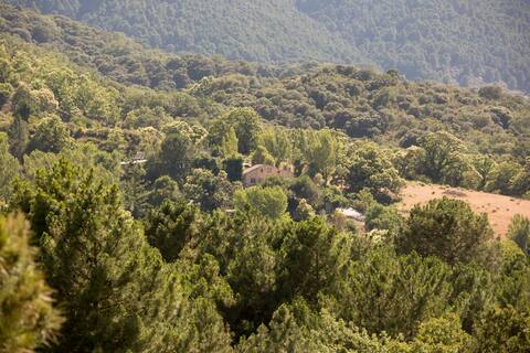 Cortijo Buenavida