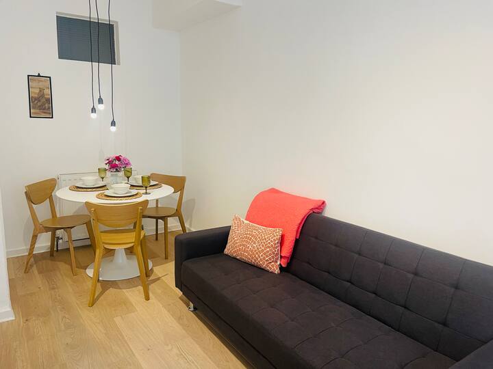 Edinburgh ground floor flat in the city centre Apartments for Rent in