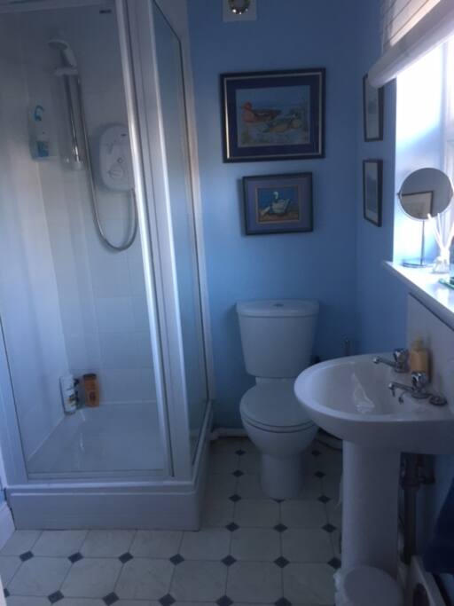 En-suite shower room in annex