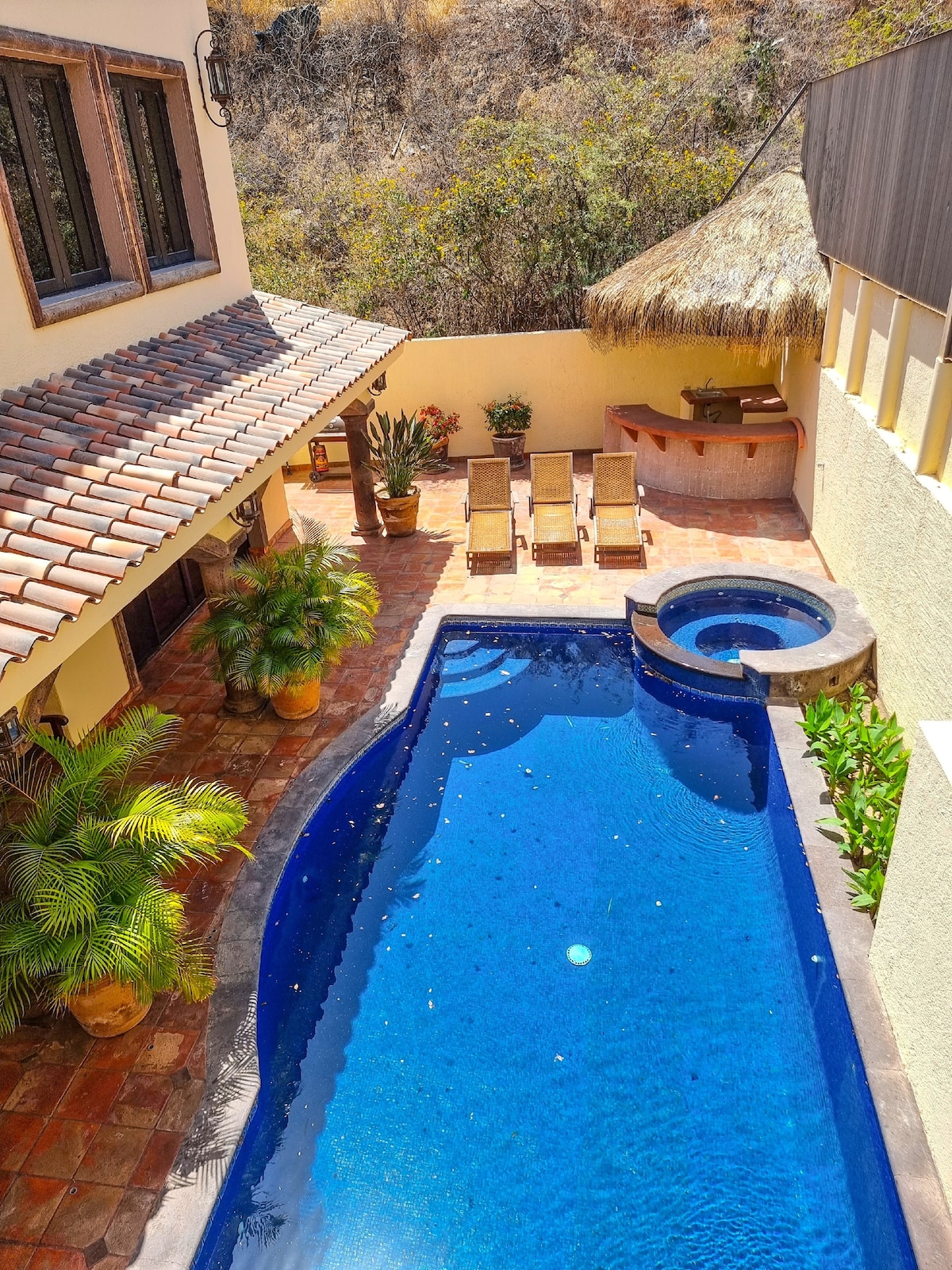 An outdoor space features a private pool with a jacuzzi, surrounded by terracotta tiles. Sun loungers are positioned beside the pool, with tropical plants in decorative pots adding greenery. An outdoor bar area is visible under a thatched roof.
