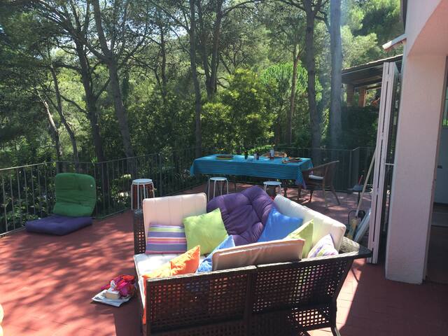 Family home. Pine forest, sea access on foot! gallery image 3