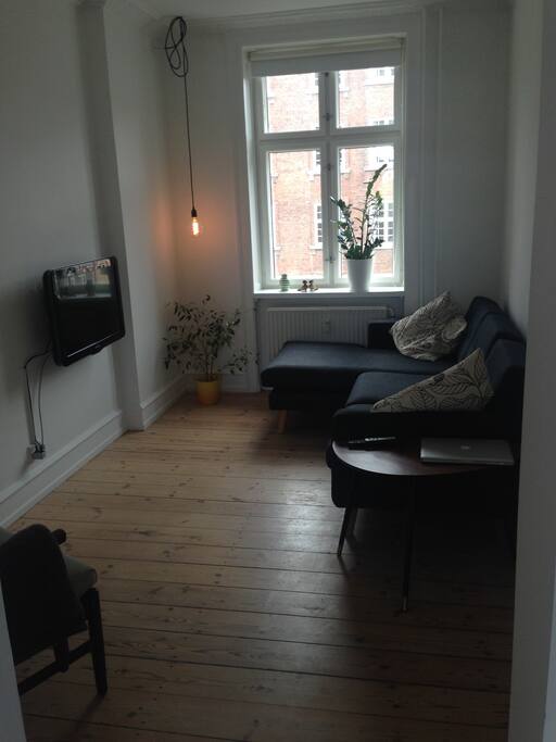 Cozy lounge area with comfy couch - sleeps 1