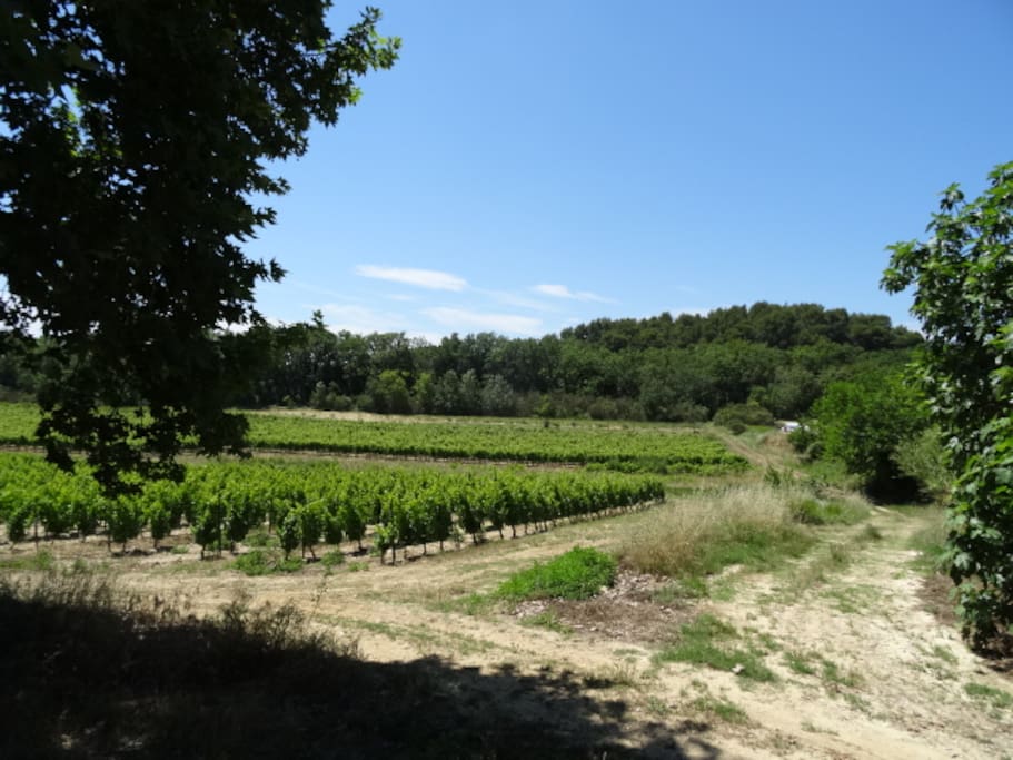 vue de la terrasse