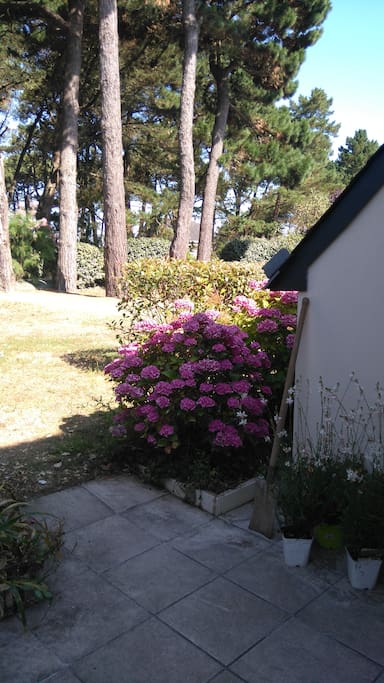 terrasse