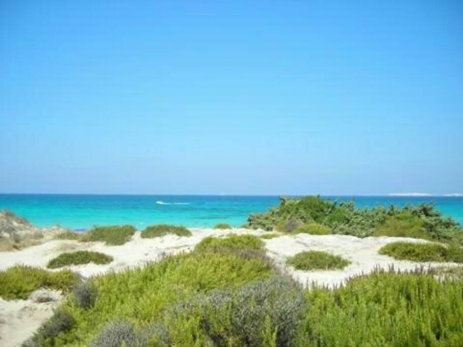 Spiagge