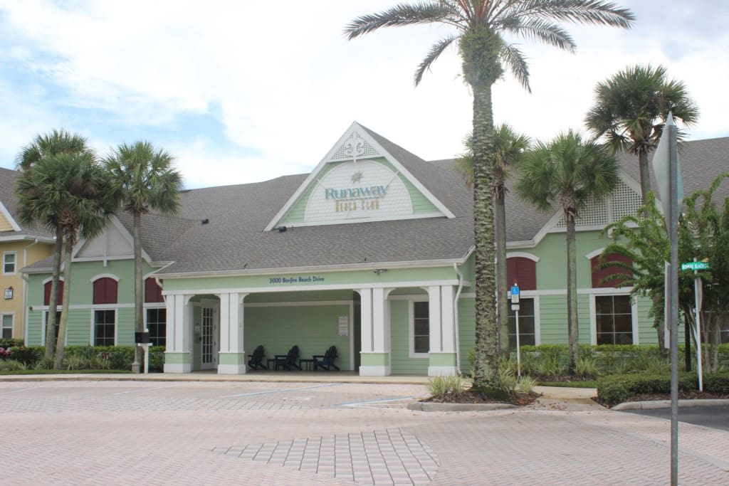 Palm Tree, Tree, Building, Downtown, Neighborhood