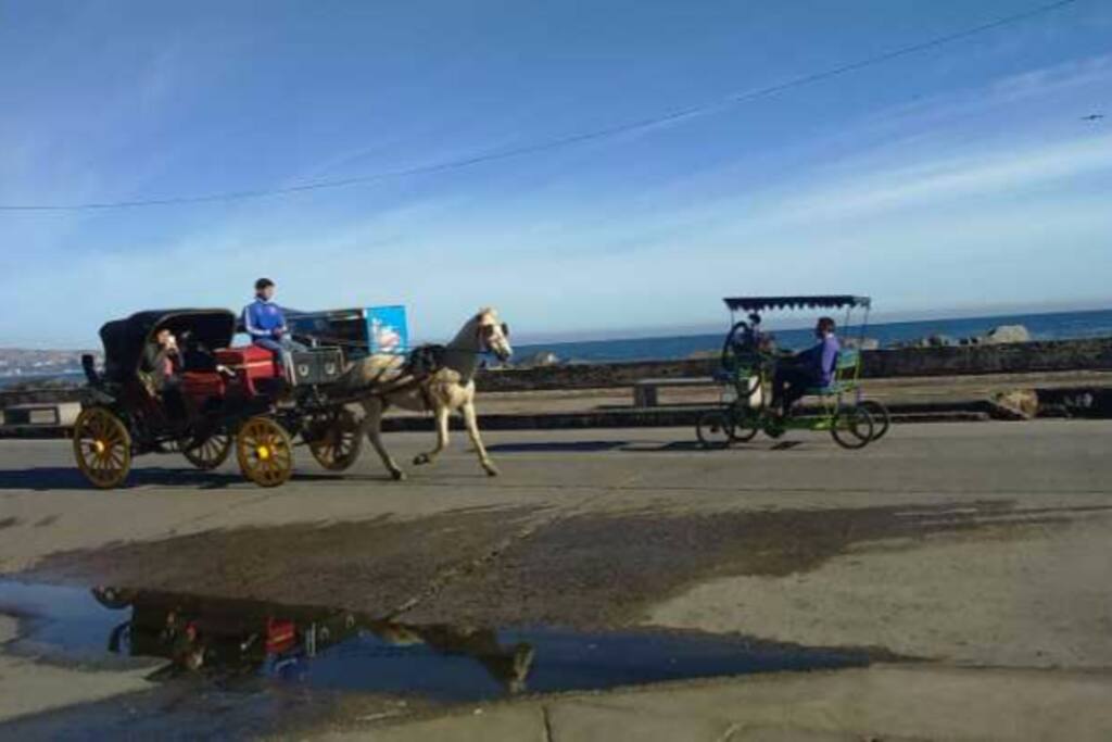 Paseo Avenida Perú, en borde costero.