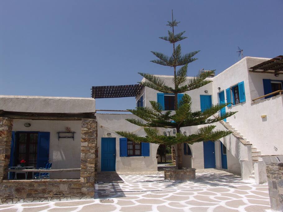 the building from outside