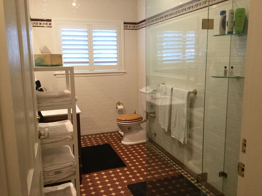 Bathroom adjoining bedroom