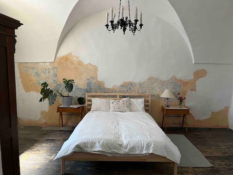 Big Historic Atelier Apartment with garden