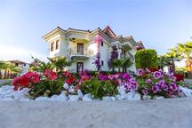 Katranci Park Hotel Features And Prices Halalhotelcheck