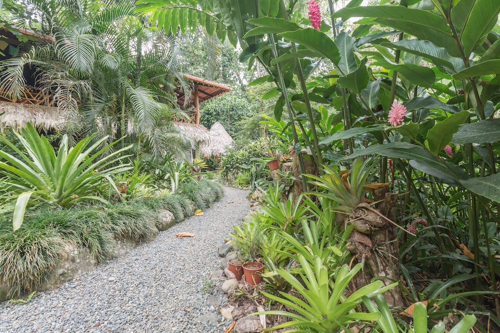 The path to your apartment, an oasis of peace and wonder.