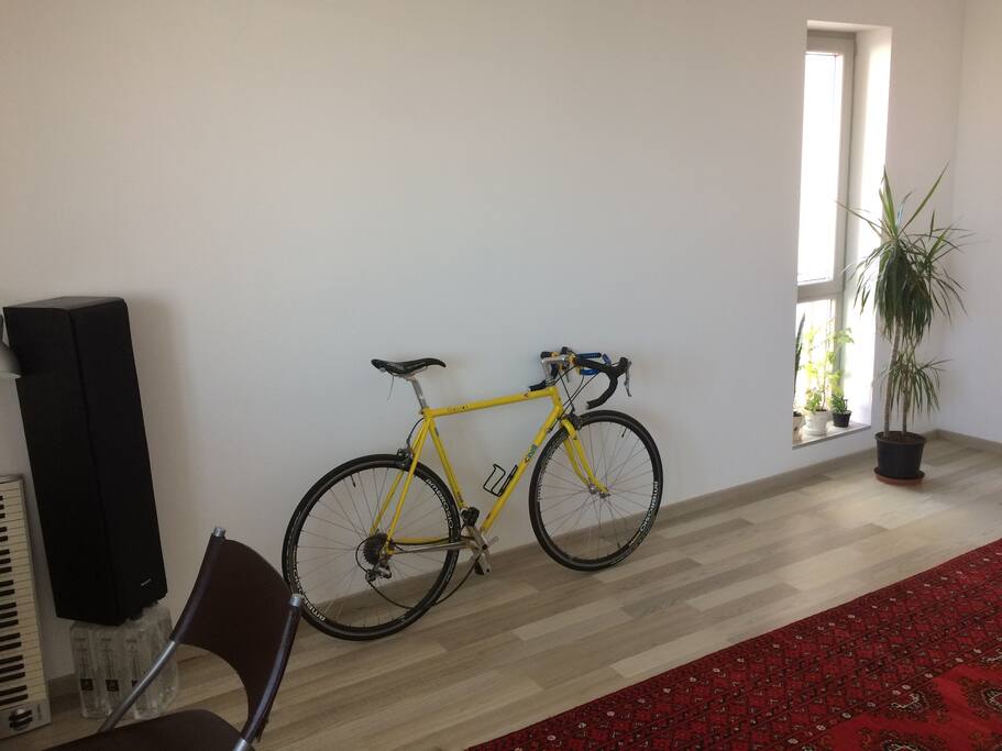 keyboard, bike, plant